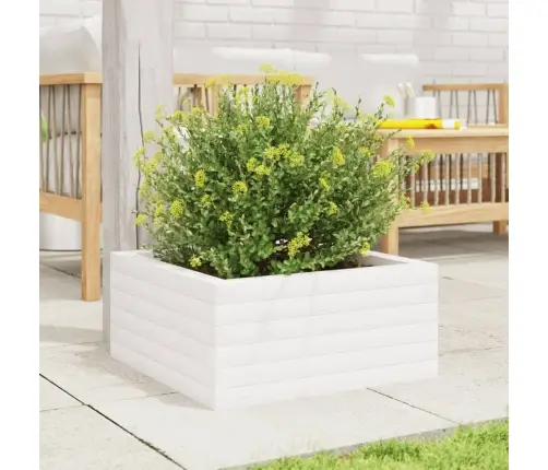 Aia Taimekast, Valge, 50 X 50 X 23 cm Männipuit