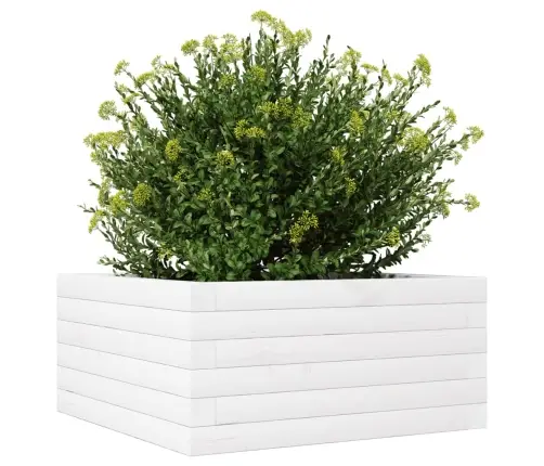 Aia Taimekast, Valge, 50 X 50 X 23 cm Männipuit