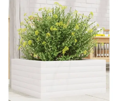 Aia Taimekast, Valge, 50 X 50 X 23 cm Männipuit