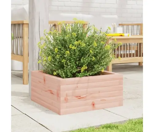 Dārza Puķu Kaste, 50X50X23 Cm, Duglasa Egles Masīvkoks Vidaxl