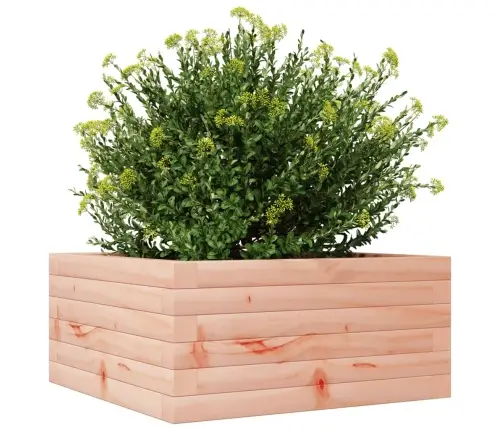 Dārza Puķu Kaste, 50X50X23 Cm, Duglasa Egles Masīvkoks Vidaxl