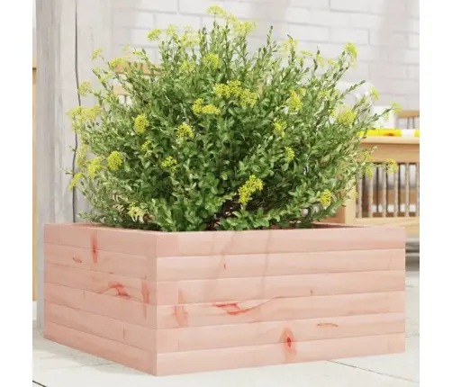 Dārza Puķu Kaste, 50X50X23 Cm, Duglasa Egles Masīvkoks Vidaxl