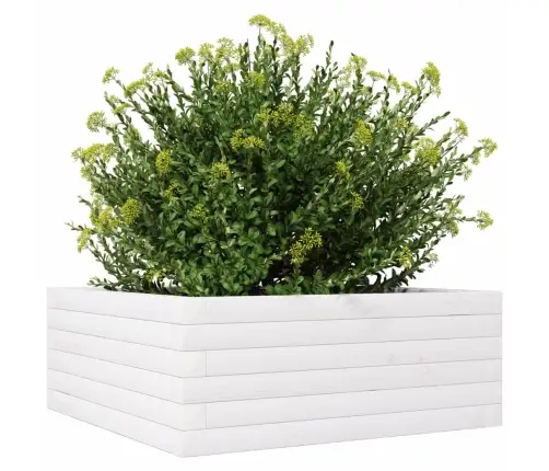Dārza Puķu Kaste, Balta, 60X60X23 Cm, Priedes Masīvkoks Vidaxl