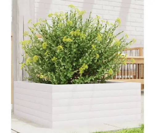 Dārza Puķu Kaste, Balta, 60X60X23 Cm, Priedes Masīvkoks Vidaxl
