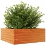 Dārza Puķu Kaste, Vaska Brūnas, 60X60X23 Cm, Priedes Masīvkoks Vidaxl