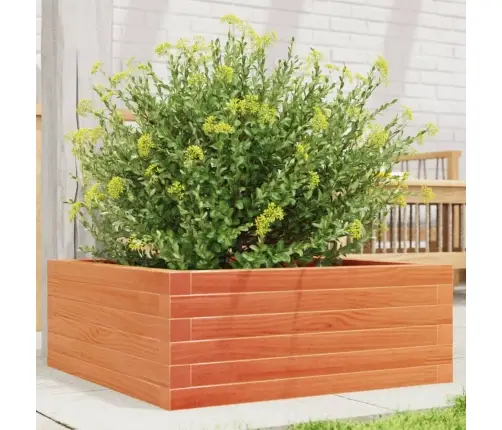Dārza Puķu Kaste, Vaska Brūnas, 60X60X23 Cm, Priedes Masīvkoks Vidaxl
