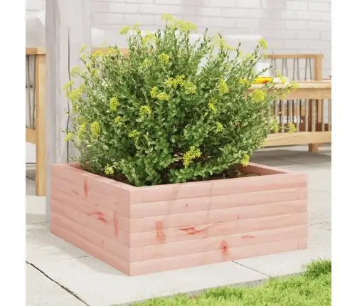 Aia Taimekast, 60 X 60 X 23 cm Ebatsuuga Puit