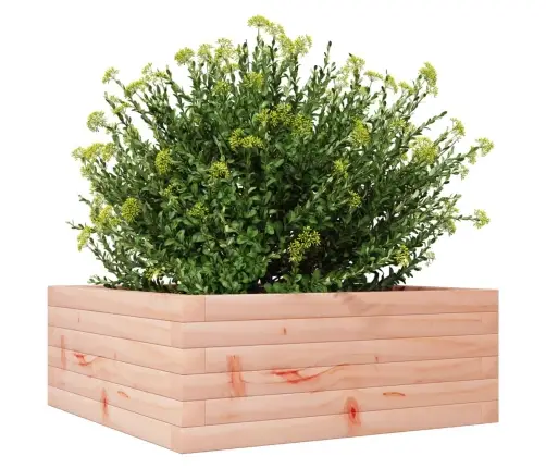 Aia Taimekast, 60 X 60 X 23 cm Ebatsuuga Puit
