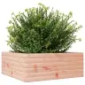 Aia Taimekast, 60 X 60 X 23 cm Ebatsuuga Puit