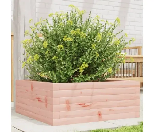 Aia Taimekast, 60 X 60 X 23 cm Ebatsuuga Puit