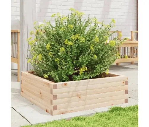 Dārza Puķu Kaste, 70X70X23 Cm, Priedes Masīvkoks Vidaxl