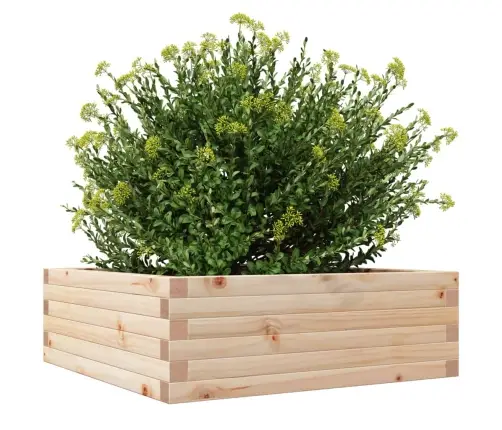 Dārza Puķu Kaste, 70X70X23 Cm, Priedes Masīvkoks Vidaxl