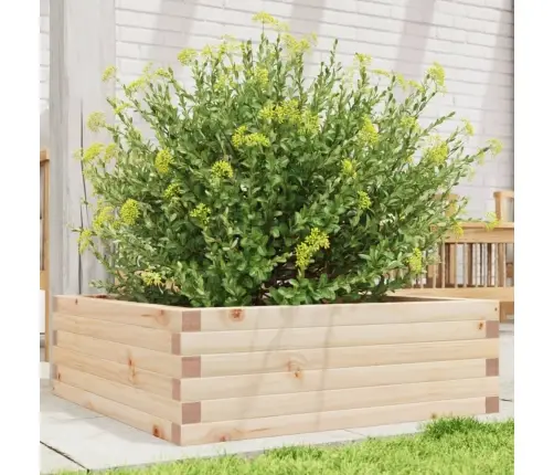 Dārza Puķu Kaste, 70X70X23 Cm, Priedes Masīvkoks Vidaxl