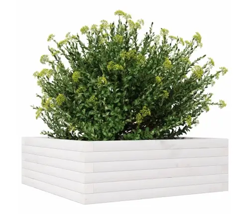 Dārza Puķu Kaste, Balta, 70X70X23 Cm, Priedes Masīvkoks Vidaxl