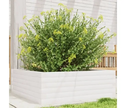 Dārza Puķu Kaste, Balta, 70X70X23 Cm, Priedes Masīvkoks Vidaxl