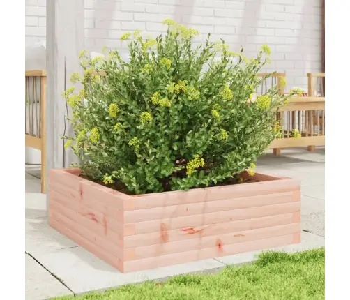 Aia Taimekast, 70X70X23cm Ebatsuuga Puit