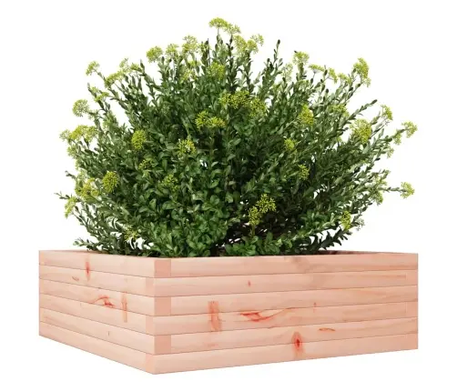 Aia Taimekast, 70X70X23cm Ebatsuuga Puit