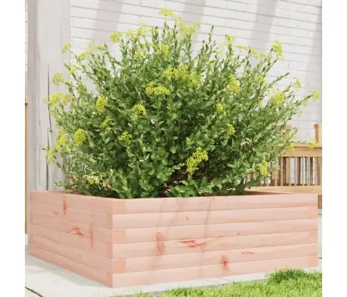 Aia Taimekast, 70X70X23cm Ebatsuuga Puit