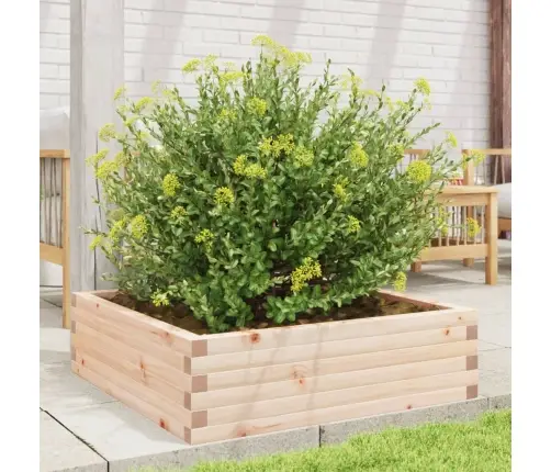 Sodo Lovelis, 80X80X23cm Pušies Medienos Masyvas