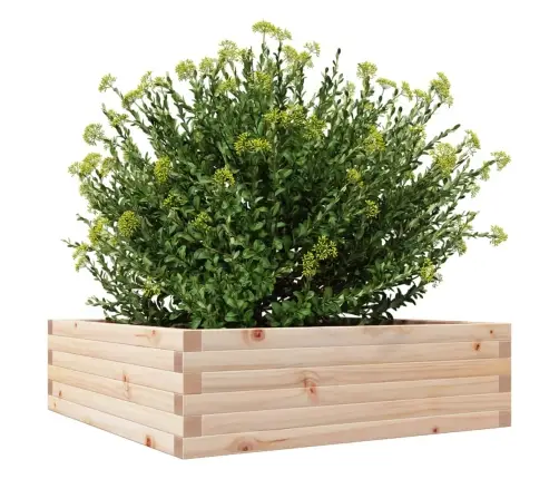 Sodo Lovelis, 80X80X23cm Pušies Medienos Masyvas