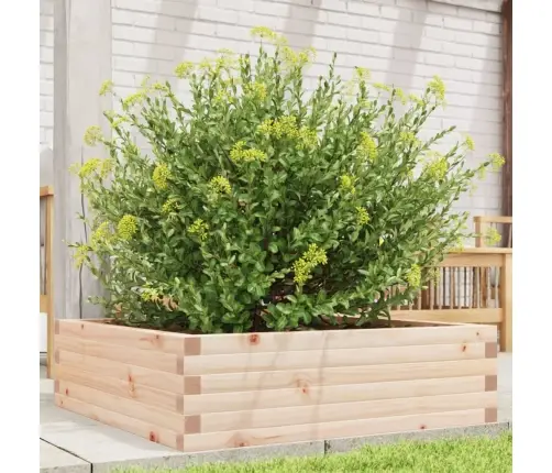 Sodo Lovelis, 80X80X23cm Pušies Medienos Masyvas