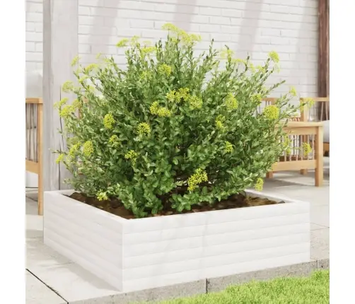 Dārza Puķu Kaste, Balta, 80X80X23 Cm, Priedes Masīvkoks Vidaxl