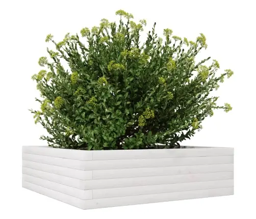 Dārza Puķu Kaste, Balta, 80X80X23 Cm, Priedes Masīvkoks Vidaxl