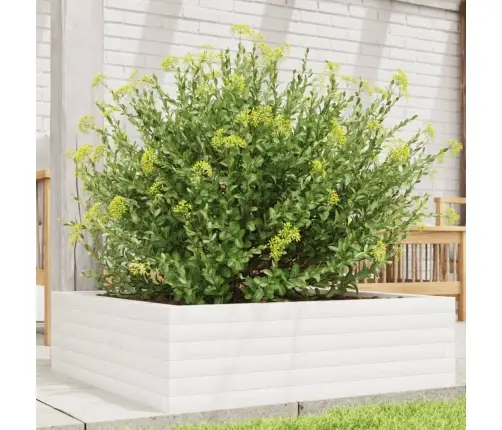Dārza Puķu Kaste, Balta, 80X80X23 Cm, Priedes Masīvkoks Vidaxl