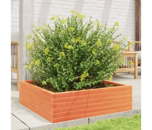 Dārza Puķu Kaste, Vaska Brūnas, 80X80X23 Cm, Priedes Masīvkoks Vidaxl