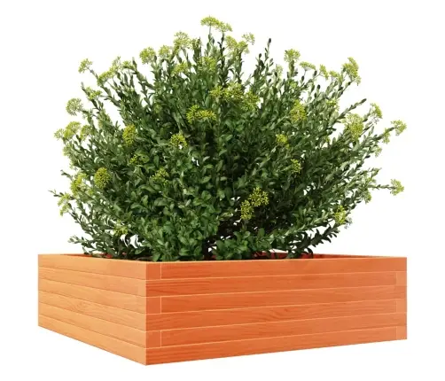 Dārza Puķu Kaste, Vaska Brūnas, 80X80X23 Cm, Priedes Masīvkoks Vidaxl