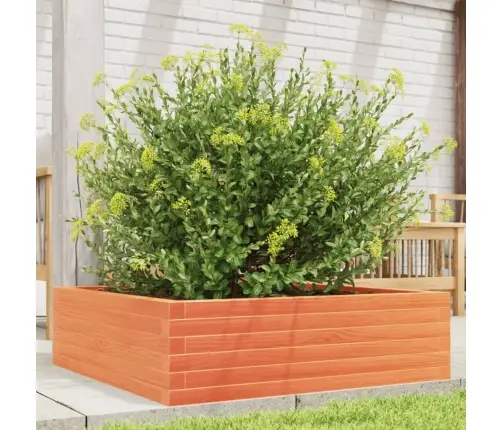 Dārza Puķu Kaste, Vaska Brūnas, 80X80X23 Cm, Priedes Masīvkoks Vidaxl