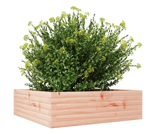 Sodo Lovelis, 80X80X23cm Douglas Eglės Medienos Masyvas