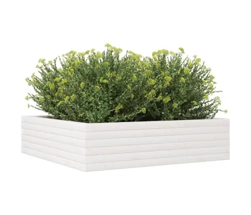 Aia Taimekast, Valge, 90 X 90 X 23 cm Männipuit