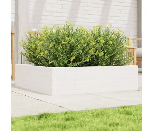 Aia Taimekast, Valge, 90 X 90 X 23 cm Männipuit