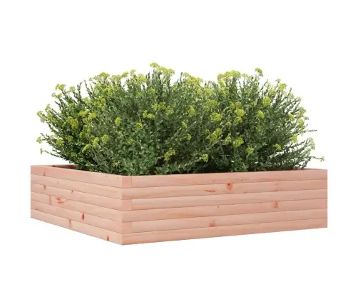 Aia Taimekast, 90 X 90 X 23 cm Ebatsuuga Puit