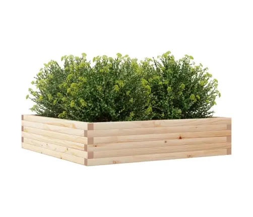 Dārza Puķu Kaste, 100X100X23 Cm, Priedes Masīvkoks Vidaxl