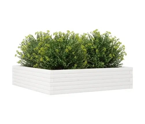 Aia Taimekast, Valge, 100X100X23 cm Toekas Männipuit