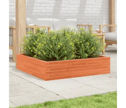 Dārza Puķu Kaste, Vaska Brūnas, 100X100X23 Cm Priedes Masīvkoks Vidaxl