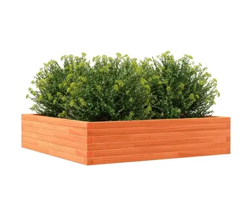Dārza Puķu Kaste, Vaska Brūnas, 100X100X23 Cm Priedes Masīvkoks Vidaxl