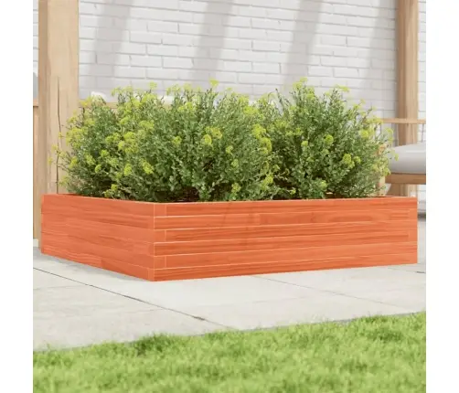 Dārza Puķu Kaste, Vaska Brūnas, 100X100X23 Cm Priedes Masīvkoks Vidaxl
