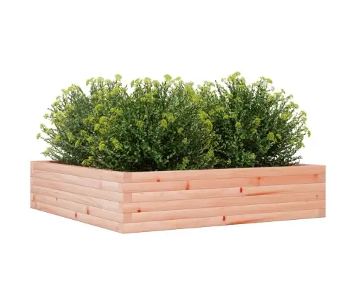 Aia Taimekast, 100X100X23 cm Ebatsuuga Puit