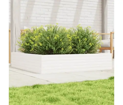 Aia Taimekast, Valge, 110 X 110 X23 cm Männipuit
