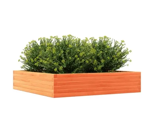 Dārza Puķu Kaste, Vaska Brūnas, 110X110X23 Cm Priedes Masīvkoks Vidaxl