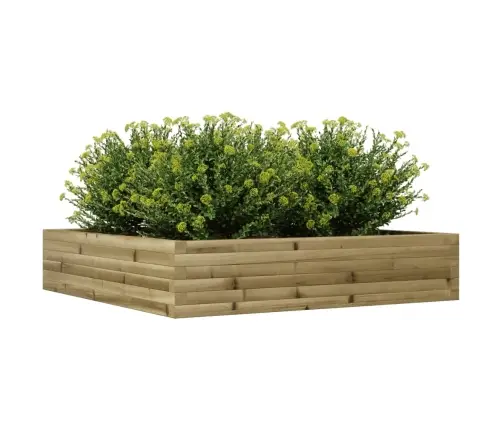 Aia Taimekast, 110X110X23 cm Immutatud Männipuit