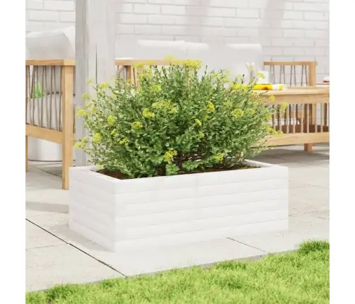 Aia Taimekast, Valge, 70 X 40 X 23 cm Männipuit