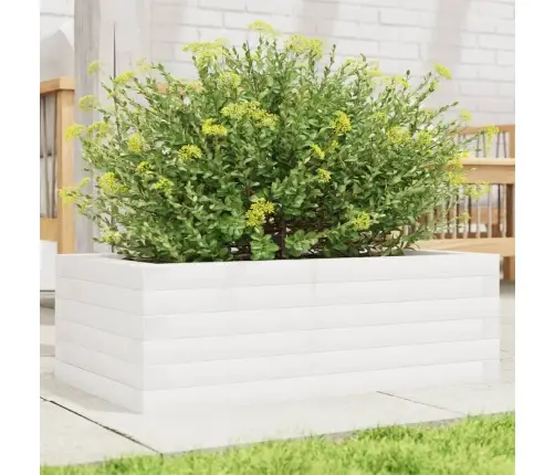 Aia Taimekast, Valge, 70 X 40 X 23 cm Männipuit