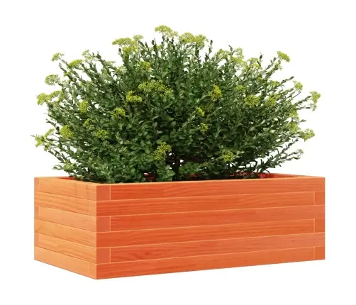 Dārza Puķu Kaste, Vaska Brūnas, 70X40X23 Cm Priedes Masīvkoks Vidaxl