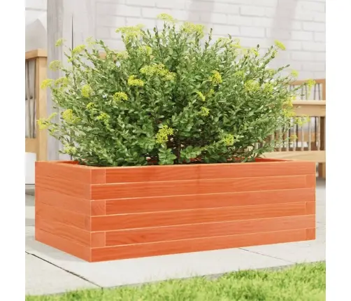 Dārza Puķu Kaste, Vaska Brūnas, 70X40X23 Cm Priedes Masīvkoks Vidaxl