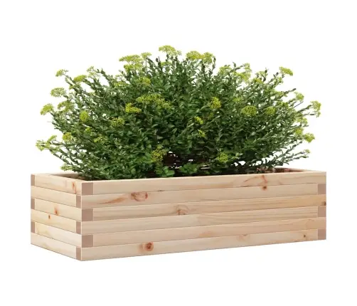 Aia Taimekast, 90 X 40 X 23 cm Männipuit