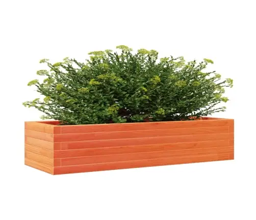 Sodo Lovelis, Vaško Rudas, 110X40X23cm Pušies Masyvas